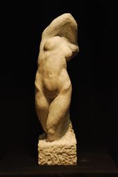 METAMORFOSIS -2010